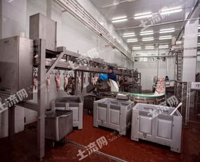 俄羅斯38250平方米現(xiàn)代化肉類加工廠轉(zhuǎn)讓，融合網(wǎng)絡(luò)技術(shù)開(kāi)發(fā)新機(jī)遇