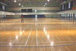 懸浮式拼裝地板與木地板 籃球場地面材料對比與選擇